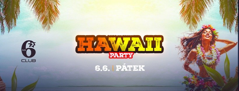 HAWAII PARTY